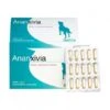 Ananxivia Grand Chien -Magasins Sélectionnés De Fournitures Pour Animaux Et Chiens ananxivia grand chien
