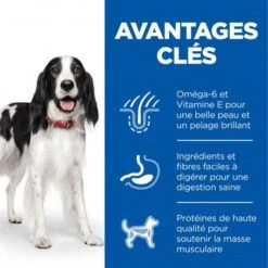 Magasins Sélectionnés De Fournitures Pour Animaux Et Chiens 21 Magasins Sélectionnés De Fournitures Pour Animaux Et Chiens -Magasins Sélectionnés De Fournitures Pour Animaux Et Chiens canine adult poulet boite 1
