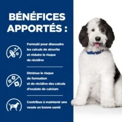 C/D Urinary Multicare Croquettes Pour Chien Au Poulet -Magasins Sélectionnés De Fournitures Pour Animaux Et Chiens canine c d multicare 3