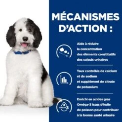 C/D Urinary Multicare Croquettes Pour Chien Au Poulet -Magasins Sélectionnés De Fournitures Pour Animaux Et Chiens canine c d multicare 4
