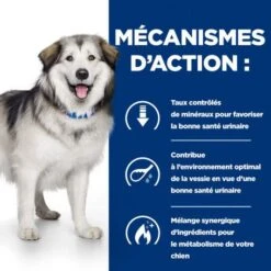 C/d Urinary Multicare+Metabolic Croquettes Pour Chien -Magasins Sélectionnés De Fournitures Pour Animaux Et Chiens canine c d multicare metabolic 4
