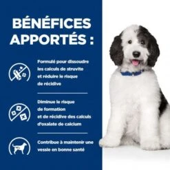C/d Urinary Multicare Mijotés Pour Chien Poulet & Légumes -Magasins Sélectionnés De Fournitures Pour Animaux Et Chiens canine c d multicare mijotes poulet legumes boite 3