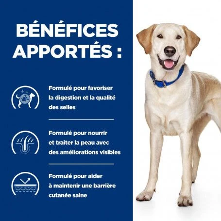 D/D Food Sensitivities Croquettes Pour Chien Au Canard & Riz 6 D/D Food Sensitivities Croquettes Pour Chien Au Canard & Riz – Image 4