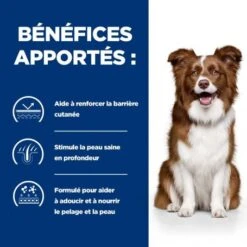 Derm Defense Croquettes Pour Chien Au Poulet -Magasins Sélectionnés De Fournitures Pour Animaux Et Chiens canine derm defense 3