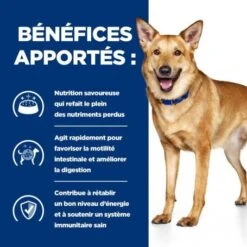 I/D Digestive Croquettes Pour Chien Et Chiot Au Poulet 13 I/D Digestive Croquettes Pour Chien Et Chiot Au Poulet -Magasins Sélectionnés De Fournitures Pour Animaux Et Chiens canine i d digestive care activ biome 3