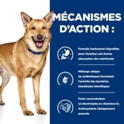 I/d Digestive Boîte Pour Chien Et Chiot Dinde -Magasins Sélectionnés De Fournitures Pour Animaux Et Chiens canine i d digestive care activ biome dinde boite 4