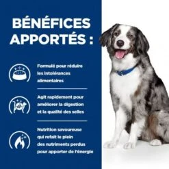 I/D Sensitive Digestive Croquettes Pour Chien Et Chiot Oeuf & Riz -Magasins Sélectionnés De Fournitures Pour Animaux Et Chiens canine i d sensitive digestive care activ biome 3