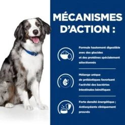 I/D Sensitive Digestive Croquettes Pour Chien Et Chiot Oeuf & Riz -Magasins Sélectionnés De Fournitures Pour Animaux Et Chiens canine i d sensitive digestive care activ biome 4