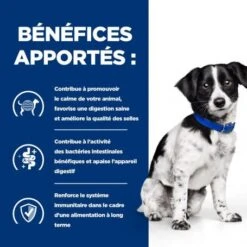 I/D Stress Digestive Mini Croquettes Pour Petit Chien -Magasins Sélectionnés De Fournitures Pour Animaux Et Chiens canine i d stress digestive care activ biome mini 3