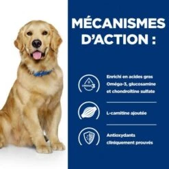 J/D Mobility Croquettes Pour Chien Au Poulet -Magasins Sélectionnés De Fournitures Pour Animaux Et Chiens canine j d 4
