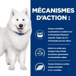 K/D J/D Kidney+Mobility Croquettes Pour Chien -Magasins Sélectionnés De Fournitures Pour Animaux Et Chiens canine k d mobility poulet 4