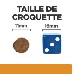 K/D J/D Kidney+Mobility Croquettes Pour Chien -Magasins Sélectionnés De Fournitures Pour Animaux Et Chiens canine k d mobility poulet 5