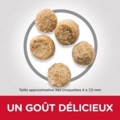 Canine Mature Mini Light Poulet -Magasins Sélectionnés De Fournitures Pour Animaux Et Chiens canine mature mini light poulet 2