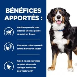 J/D Metabolic+Mobility Croquettes Pour Chien Au Poulet -Magasins Sélectionnés De Fournitures Pour Animaux Et Chiens canine metabolicmobility 3