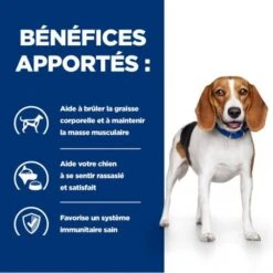 R/D Weight Loss Croquettes Pour Chien Au Poulet -Magasins Sélectionnés De Fournitures Pour Animaux Et Chiens canine r d poulet 2