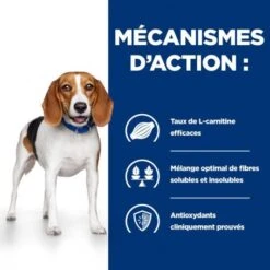 R/D Weight Loss Croquettes Pour Chien Au Poulet -Magasins Sélectionnés De Fournitures Pour Animaux Et Chiens canine r d poulet 3