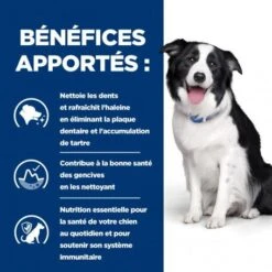 T/d Dental Croquettes Pour Chien Au Poulet -Magasins Sélectionnés De Fournitures Pour Animaux Et Chiens canine t d 3