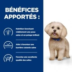 Z/D Food Sensitivities Mini Croquettes Pour Petit Chien -Magasins Sélectionnés De Fournitures Pour Animaux Et Chiens canine z d food sensitivities activ biome mini 2