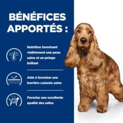 Z/d Food Sensitivities Croquettes Pour Chien -Magasins Sélectionnés De Fournitures Pour Animaux Et Chiens canine zd food sensitivities activ biome 3