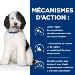 Chien C/d Urinary Multicare Poulet Boîte -Magasins Sélectionnés De Fournitures Pour Animaux Et Chiens chien c d urinary multicare poulet bote 6