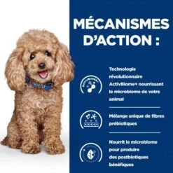 Gastrointestinal Biome Mini Croquettes Pour Petit Chien Au Poulet 14 Gastrointestinal Biome Mini Croquettes Pour Petit Chien Au Poulet -Magasins Sélectionnés De Fournitures Pour Animaux Et Chiens chien gastrointestinal biome mini poulet 4