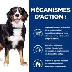 Chien J/d Metabolic + Mobility Poulet Boîte -Magasins Sélectionnés De Fournitures Pour Animaux Et Chiens chien j d metabolic mobility poulet bote 1