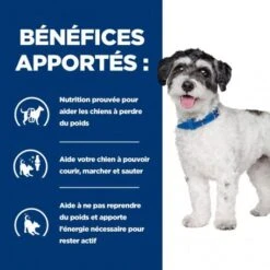 J/d Metabolic+Mobility Mini Croquettes Pour Petit Chien Au Poulet -Magasins Sélectionnés De Fournitures Pour Animaux Et Chiens chien j d metabolicmobility mini poulet 2