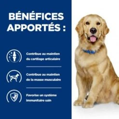 Chien J/d Mobility Reduced Calorie -Magasins Sélectionnés De Fournitures Pour Animaux Et Chiens chien j d mobility reduced calorie 4