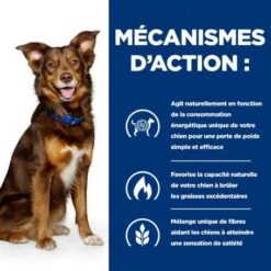 Metabolic Croquettes Pour Chien à L'Agneau & Riz -Magasins Sélectionnés De Fournitures Pour Animaux Et Chiens chien metabolic agneau riz 4