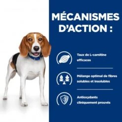 Chien R/d Weight Loss Boîte 14 Chien R/d Weight Loss Boîte -Magasins Sélectionnés De Fournitures Pour Animaux Et Chiens chien r d weight loss bote 3