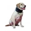 Materiel Collier Bite Free KVP 2 Materiel Collier Bite Free KVP -Magasins Sélectionnés De Fournitures Pour Animaux Et Chiens collier bite free kvp