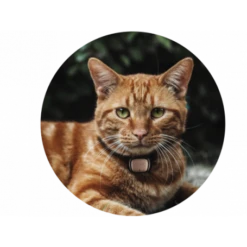 Materiel Collier GPS/moniteur D'activité Kippy Evo Pour Chien Et Chat -Magasins Sélectionnés De Fournitures Pour Animaux Et Chiens collier gps moniteur d activite kippy evo pour chien et chat 1