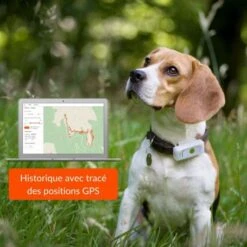 Materiel Collier GPS Weenect Dogs 2 Pour Chien -Magasins Sélectionnés De Fournitures Pour Animaux Et Chiens collier gps weenect dogs 2 pour chien 6