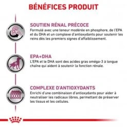 ROYAL CANIN Dog Early Renal -Magasins Sélectionnés De Fournitures Pour Animaux Et Chiens dog early renal 3
