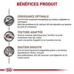 ROYAL CANIN Dog Gastro Intestinal Puppy Boîte -Magasins Sélectionnés De Fournitures Pour Animaux Et Chiens dog gastro intestinal puppy boite 1