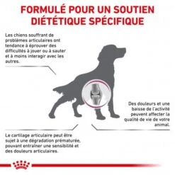 ROYAL CANIN Dog Mobility Support -Magasins Sélectionnés De Fournitures Pour Animaux Et Chiens dog mobility support 1