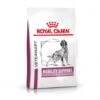 ROYAL CANIN Dog Mobility Support -Magasins Sélectionnés De Fournitures Pour Animaux Et Chiens dog mobility support