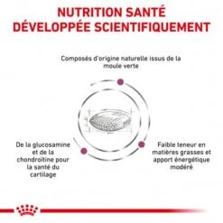 ROYAL CANIN Dog Mobility Support -Magasins Sélectionnés De Fournitures Pour Animaux Et Chiens dog mobility support 2
