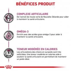 ROYAL CANIN Dog Mobility Support -Magasins Sélectionnés De Fournitures Pour Animaux Et Chiens dog mobility support 3
