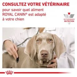 ROYAL CANIN Dog Mobility Support -Magasins Sélectionnés De Fournitures Pour Animaux Et Chiens dog mobility support 6