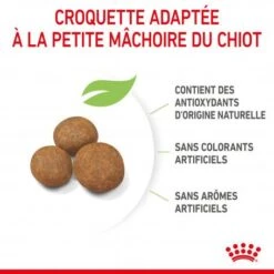 ROYAL CANIN Dog Puppy Giant -Magasins Sélectionnés De Fournitures Pour Animaux Et Chiens dog puppy giant 2