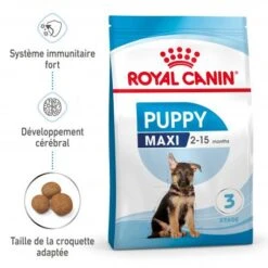 ROYAL CANIN Dog Puppy Maxi -Magasins Sélectionnés De Fournitures Pour Animaux Et Chiens dog puppy maxi 1