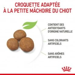 ROYAL CANIN Dog Puppy Maxi -Magasins Sélectionnés De Fournitures Pour Animaux Et Chiens dog puppy maxi 2
