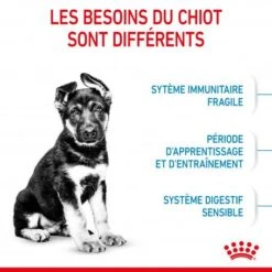 ROYAL CANIN Dog Puppy Maxi -Magasins Sélectionnés De Fournitures Pour Animaux Et Chiens dog puppy maxi 3