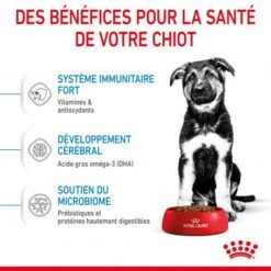 ROYAL CANIN Dog Puppy Maxi -Magasins Sélectionnés De Fournitures Pour Animaux Et Chiens dog puppy maxi 4