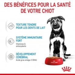 ROYAL CANIN Dog Puppy Maxi Sachet Repas -Magasins Sélectionnés De Fournitures Pour Animaux Et Chiens dog puppy maxi sachet repas 4