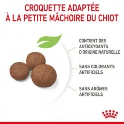 ROYAL CANIN Dog Puppy Medium -Magasins Sélectionnés De Fournitures Pour Animaux Et Chiens dog puppy medium 2