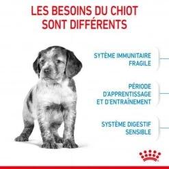 ROYAL CANIN Dog Puppy Medium -Magasins Sélectionnés De Fournitures Pour Animaux Et Chiens dog puppy medium 3