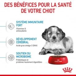 ROYAL CANIN Dog Puppy Medium -Magasins Sélectionnés De Fournitures Pour Animaux Et Chiens dog puppy medium 4