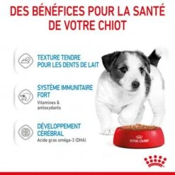 ROYAL CANIN Dog Puppy Mini Sachet Repas -Magasins Sélectionnés De Fournitures Pour Animaux Et Chiens dog puppy mini sachet repas 4